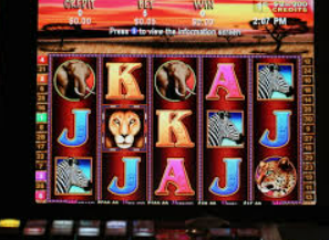 壹号168pg下载2024最新版