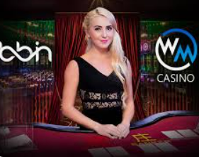 壹号168pg下载电脑免费版